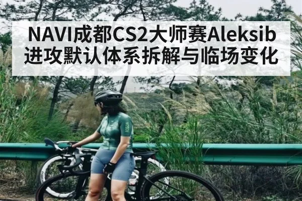 NAVI成都CS2大师赛Aleksib进攻默认体系拆解与临场变化
